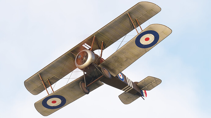 54697205856_54823adf84_k