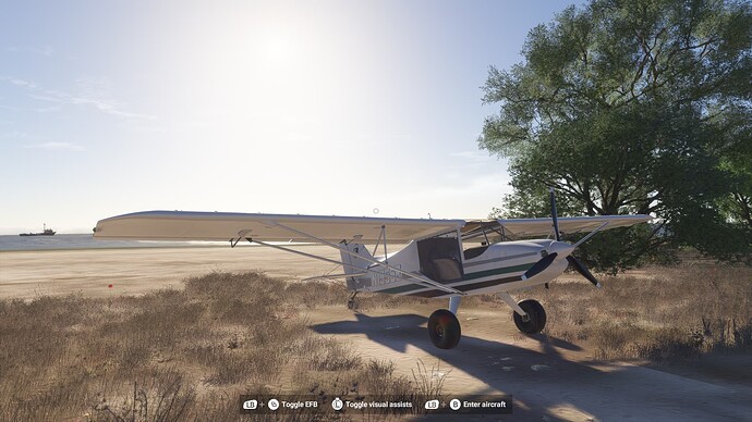 Microsoft Flight Simulator 2024 2025-06-30 6_33_28 PM
