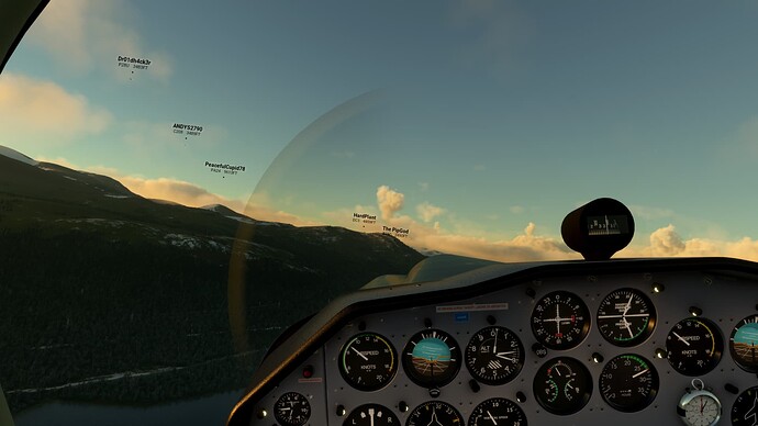 Microsoft Flight Simulator Screenshot 2023.11.17 - 19.42.50.90