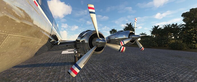 Microsoft Flight Simulator 1_20_2022 9_39_23 PM