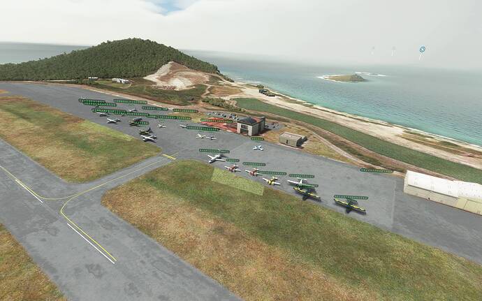 Microsoft Flight Simulator 13_08_2021 11_04_44 p.m.