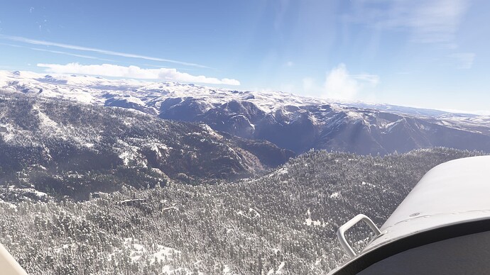 Microsoft Flight Simulator 2024-2025_02_13-16_07_26