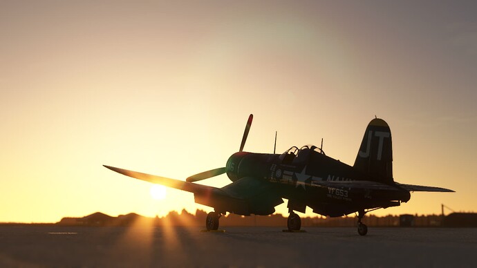 Microsoft Flight Simulator (342)