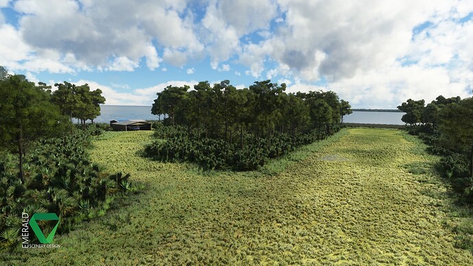 esd_bear_island_msfs_r05