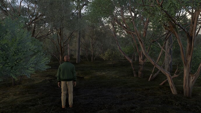 Mexico - Manuel Crescencio Rejon (MMMD) to Old Chichen Itzá Airport (MM74) 15