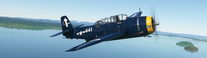 Microsoft Flight Simulator 1_25_2025 9_28_42 PM