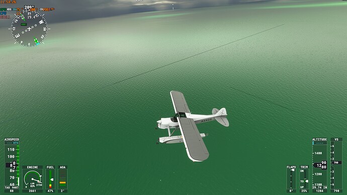FlightSimulator_2021-07-28_115427