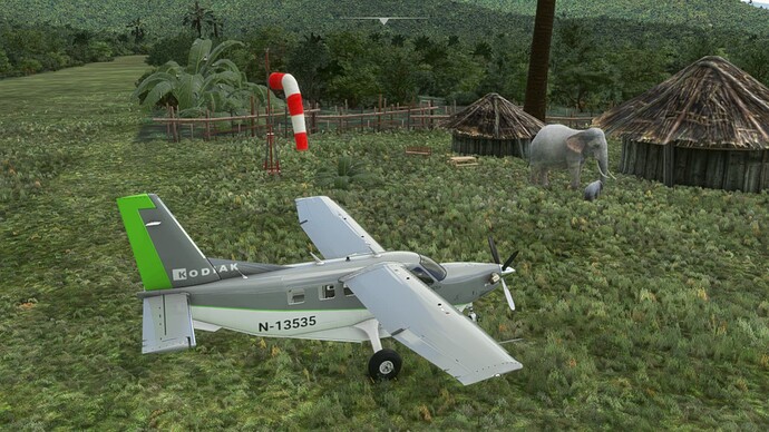 Microsoft Flight Simulator 26.12.2021 11_17_33