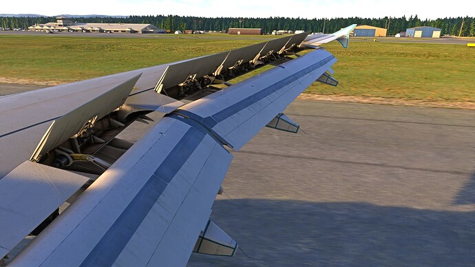 Microsoft Flight Simulator - 1.29.30.0 25.12.2022 23_06_35