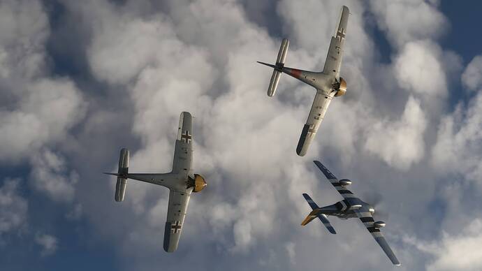 MSFS_2025-12-27-093932_Germany-Schleswig-Holstein1