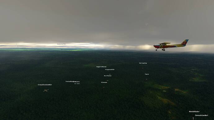 Microsoft Flight Simulator 8_2_2021 1_27_07 PM