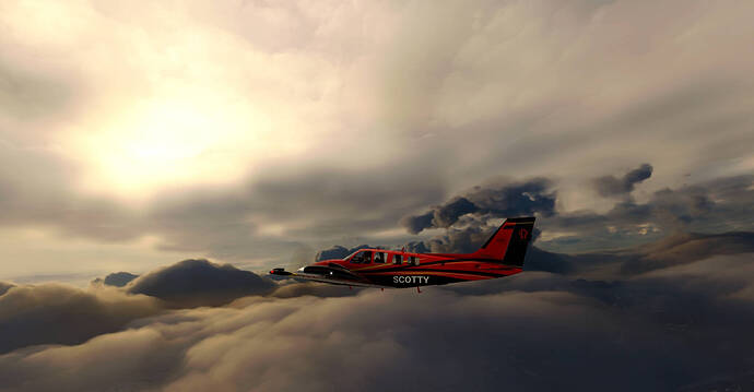 Image 0295