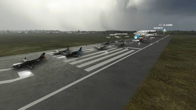 Microsoft Flight Simulator 8_8_2021 11_35_50 AM