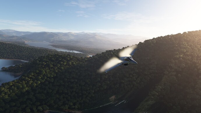 Microsoft Flight Simulator 2025-05-06 8_13_57 PM