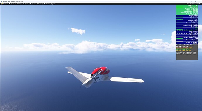 Microsoft Flight Simulator 2024 1_13_2025 11_43_56 AM
