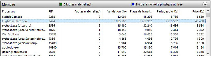 MSFS memoire