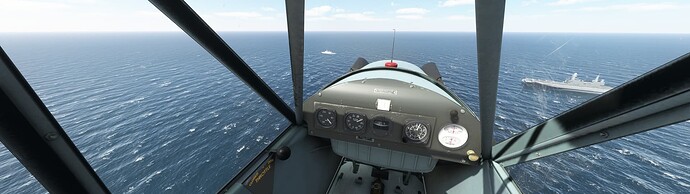 Microsoft Flight Simulator 6_2_2022 10_53_45 PM