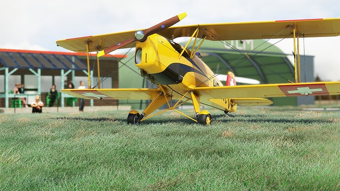 Microsoft Flight Simulator Screenshot 2021.12.29 - 18.54.04.11