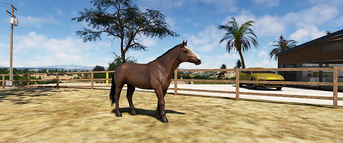 MSFS 2020 - Hogsback Ranch_01