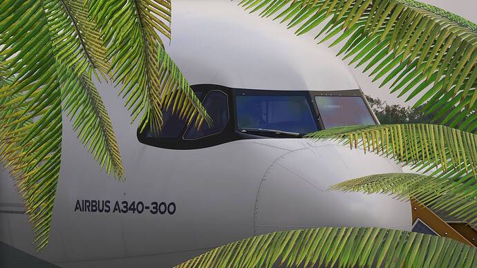 Microsoft Flight Simulator 2024-2025_12_29-21-13-53