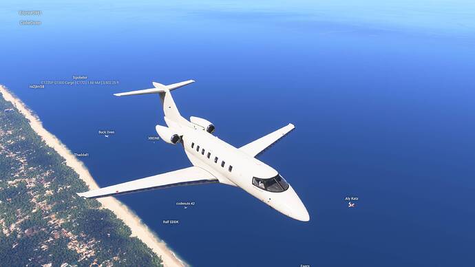 Microsoft Flight Simulator 2024 30_01_2026 21_29_03