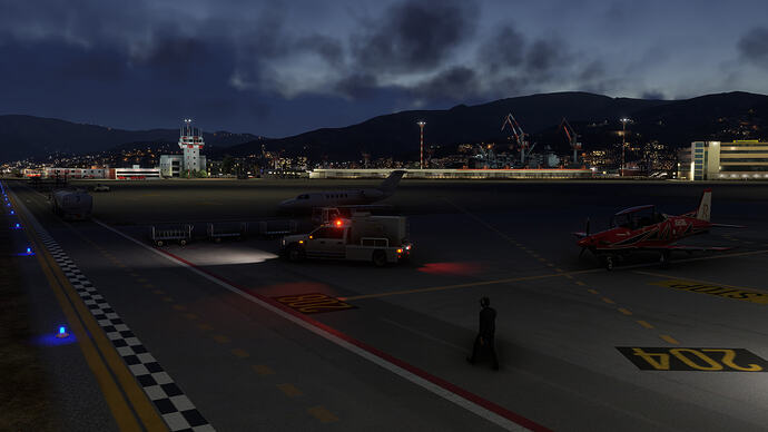 Microsoft Flight Simulator 2024_2026.06.29-21.02_1