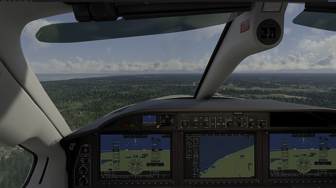 FlightSimulator 2022-03-08 10-11-39
