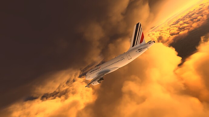 88cb4843-5b7d-4363-8b56-8c6d881b4027