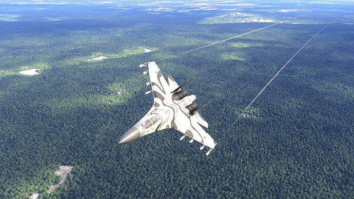 Microsoft Flight Simulator 2024 13_05_2025 2_54_26 PM