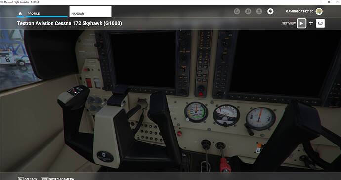 Microsoft Flight Simulator 30.07.2021 00_21_54