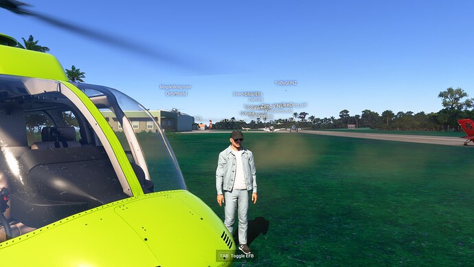 Microsoft Flight Simulator 2024 21-03-2025 19_58_35