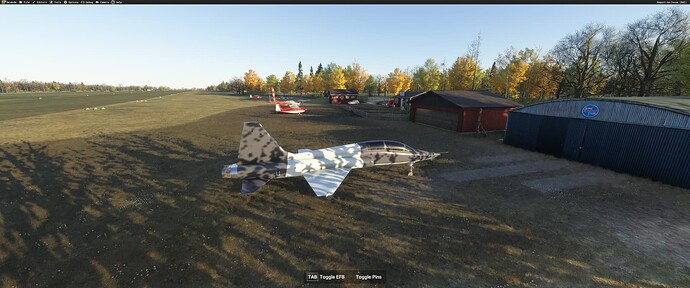 Microsoft Flight Simulator 2024 2024-12-03 11_43_31