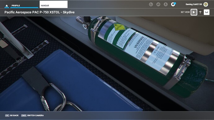 Microsoft Flight Simulator - 1.27.21.0 10_12_2022 8_49_44 PM