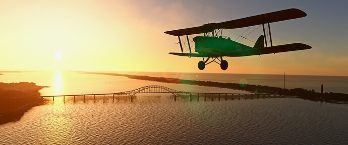 Tiger Moth - Long Island