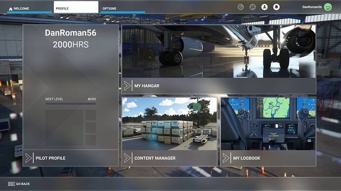 2025-11-02 17_58_35-Microsoft Flight Simulator - 1.39.9.0