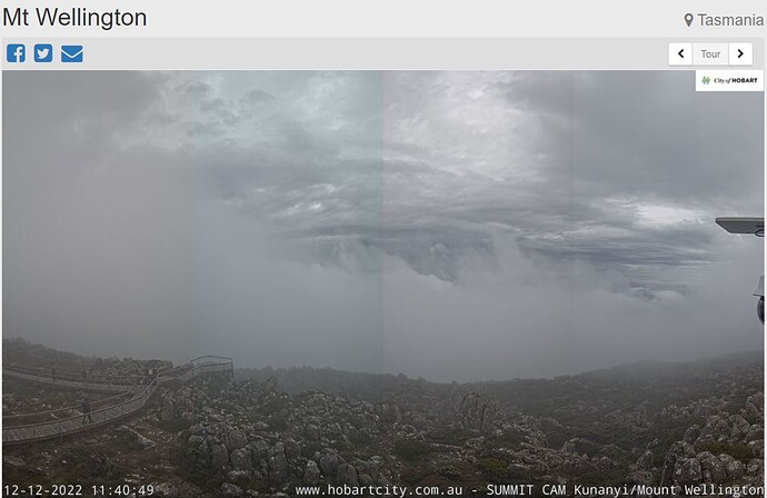 wellington