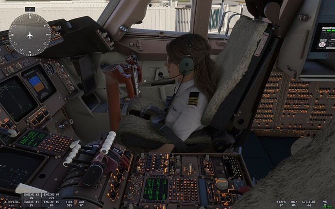 Flight Simulator 2024 Screenshot