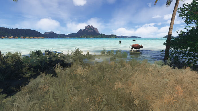 Leg 7 - NCRG to NTTB - 19 Bora Bora fauna