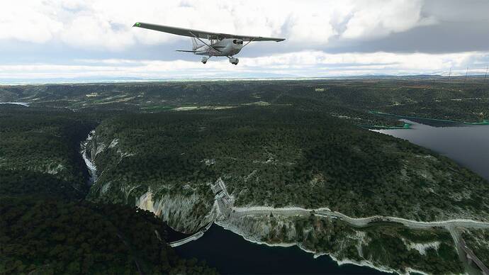Microsoft Flight Simulator 2021-05-28 10_32_33