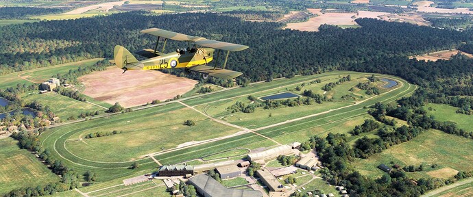 N6635 Over Market Rasen Race Course