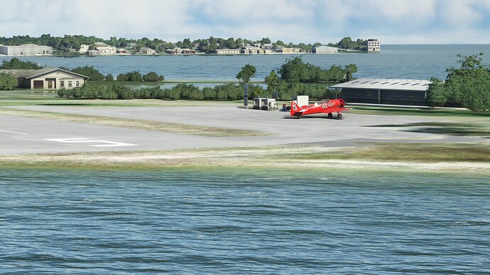 cedar08