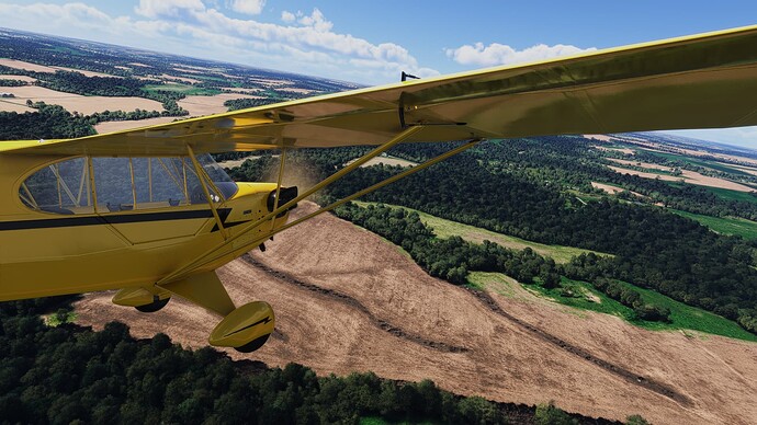 FlightSimulator2024 2025-07-31 19-26-30_588