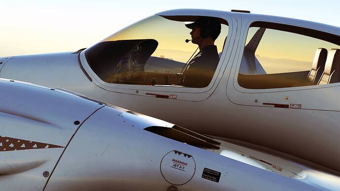 Microsoft Flight Simulator Screenshot 2025.11.16 - 02.38.06.19