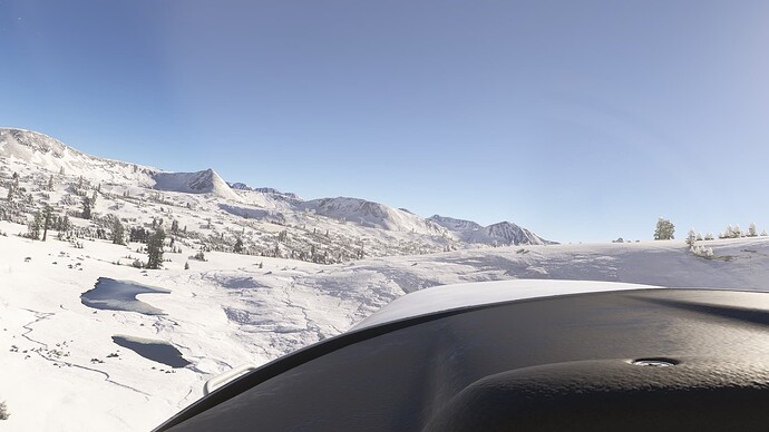 Microsoft Flight Simulator 2024-2025_02_13-17_30_32