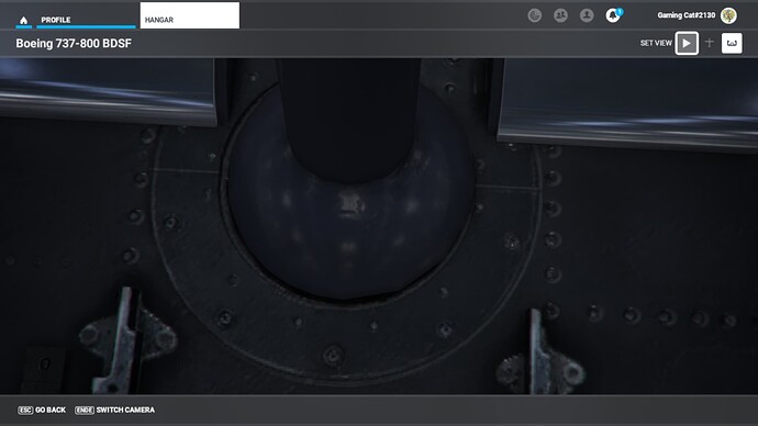 Microsoft Flight Simulator - 1.27.21.0 10_17_2022 6_28_35 PM