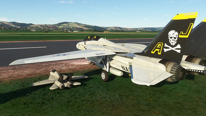 Microsoft_Flight_Simulator_Screenshot_2023.06.30_-_00.25.47.93