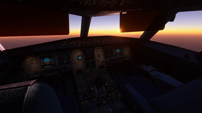 MSFS 1