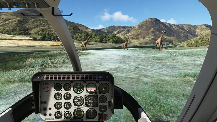 fly-in_world_elephant_day_6