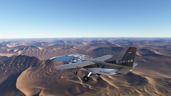 Microsoft Flight Simulator-2025_01_12-20-01-21