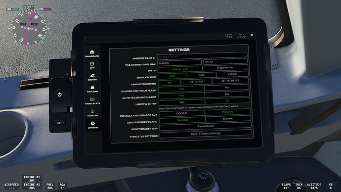 Microsoft Flight Simulator Screenshot 2025.02.07 - 10.50.19.71